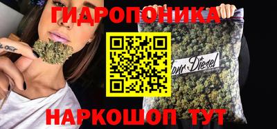 шишки Краснодар